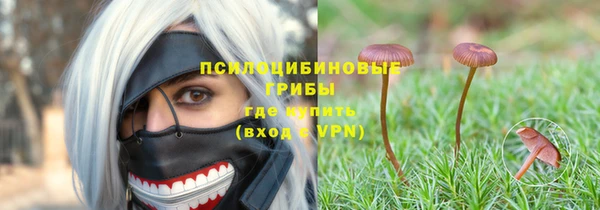 ГАЛЛЮЦИНОГЕННЫЕ ГРИБЫ Дмитров