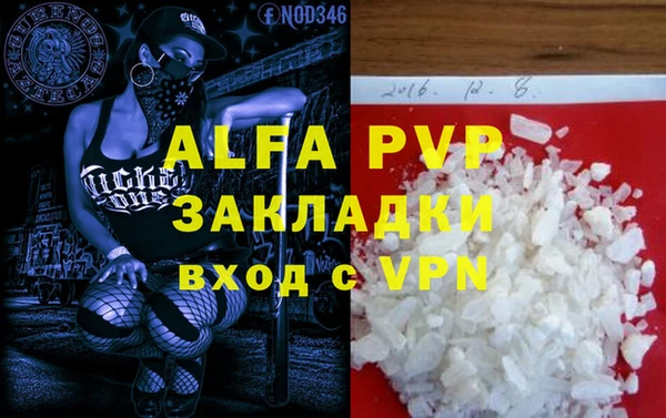 PSILOCYBIN Дмитриев