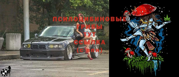 мескалин Елабуга