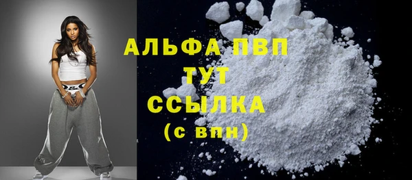 PSILOCYBIN Дмитриев