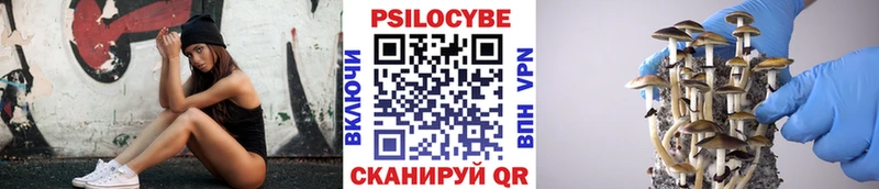 Псилоцибиновые грибы мухоморы  даркнет сайт  hydra как зайти  Курган 